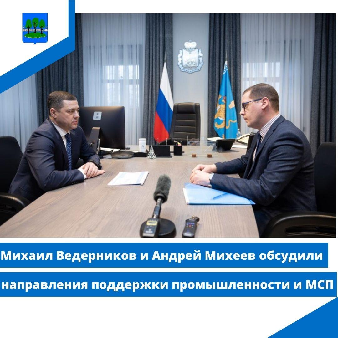 Михаил Ведерников и Андрей Михеев обсудили направления поддержки промышленности и МСП.
