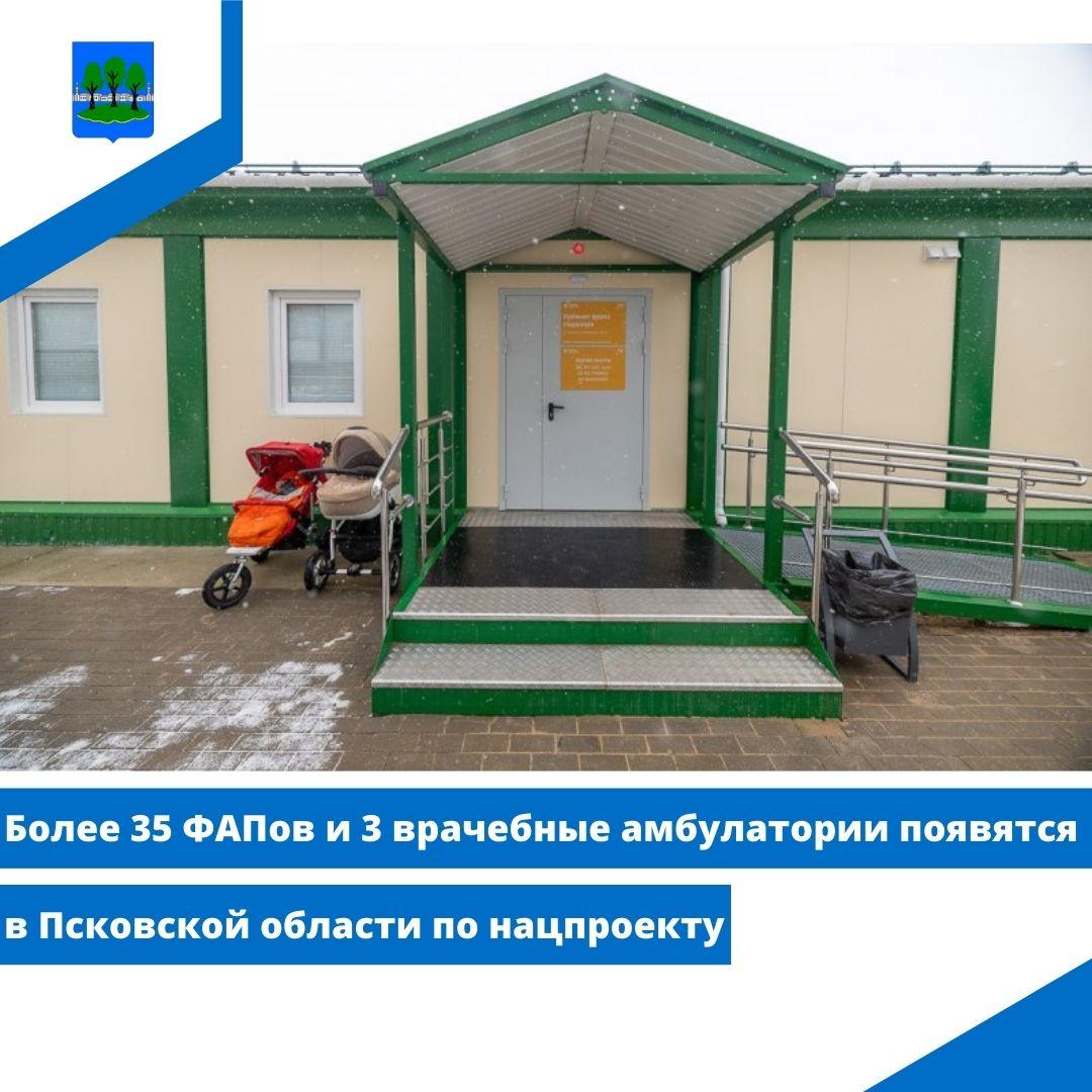 Более 35 ФАПов и 3 врачебные амбулатории появятся в Псковской области по нацпроекту.