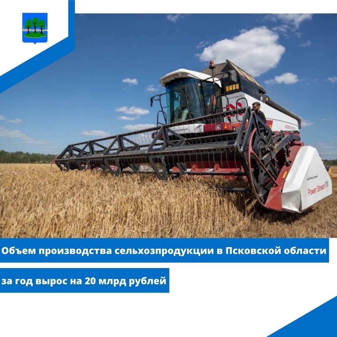 Объем производства сельхозпродукции в Псковской области за год вырос на 20 млрд рублей.