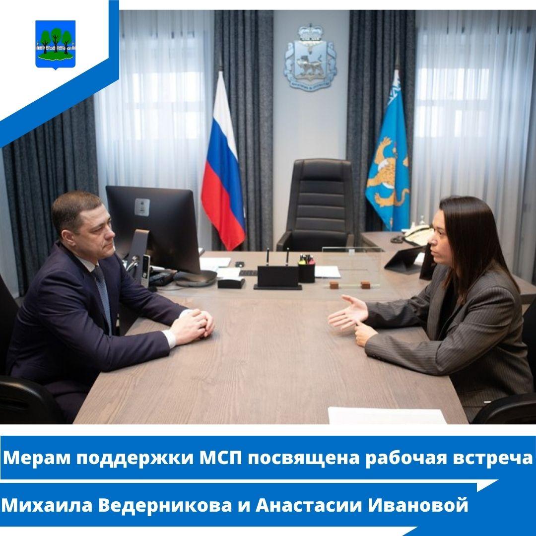 Мерам поддержки МСП посвящена рабочая встреча Михаила Ведерникова и Анастасии Ивановой.