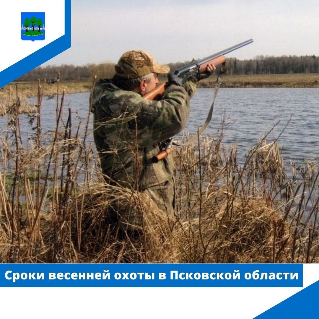Стали известны сроки весенней охоты в Псковской области.