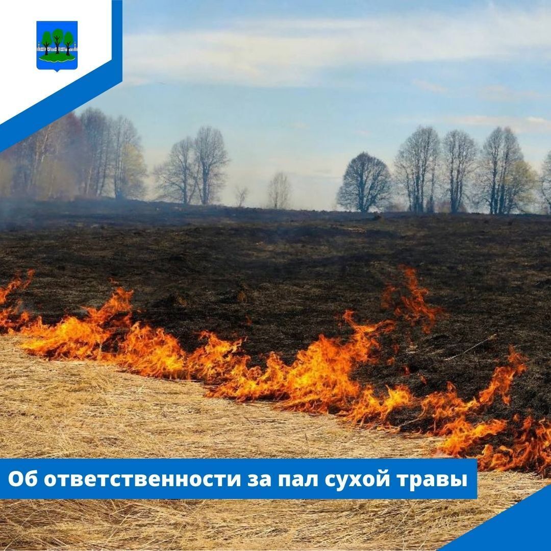 Об ответственности за пал сухой травы напоминает ГУ МЧС России по Псковской области.