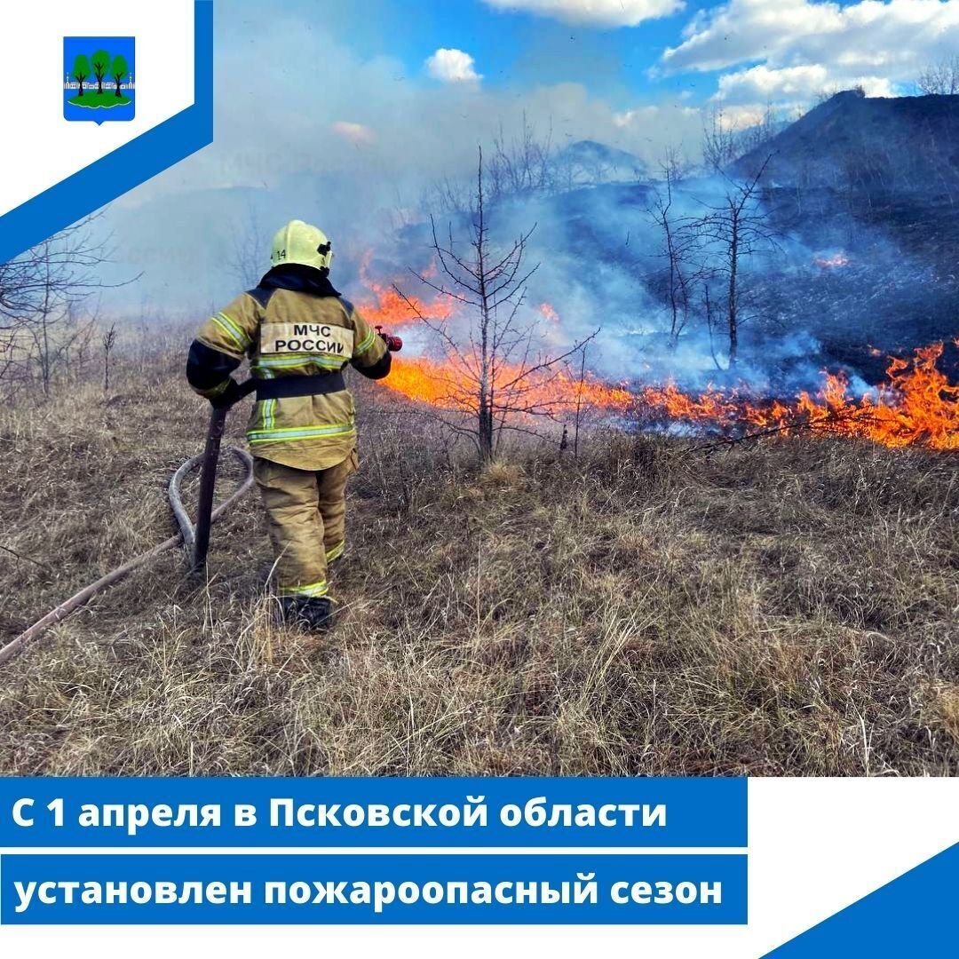 С 1 апреля в Псковской области установлен пожароопасный сезон.