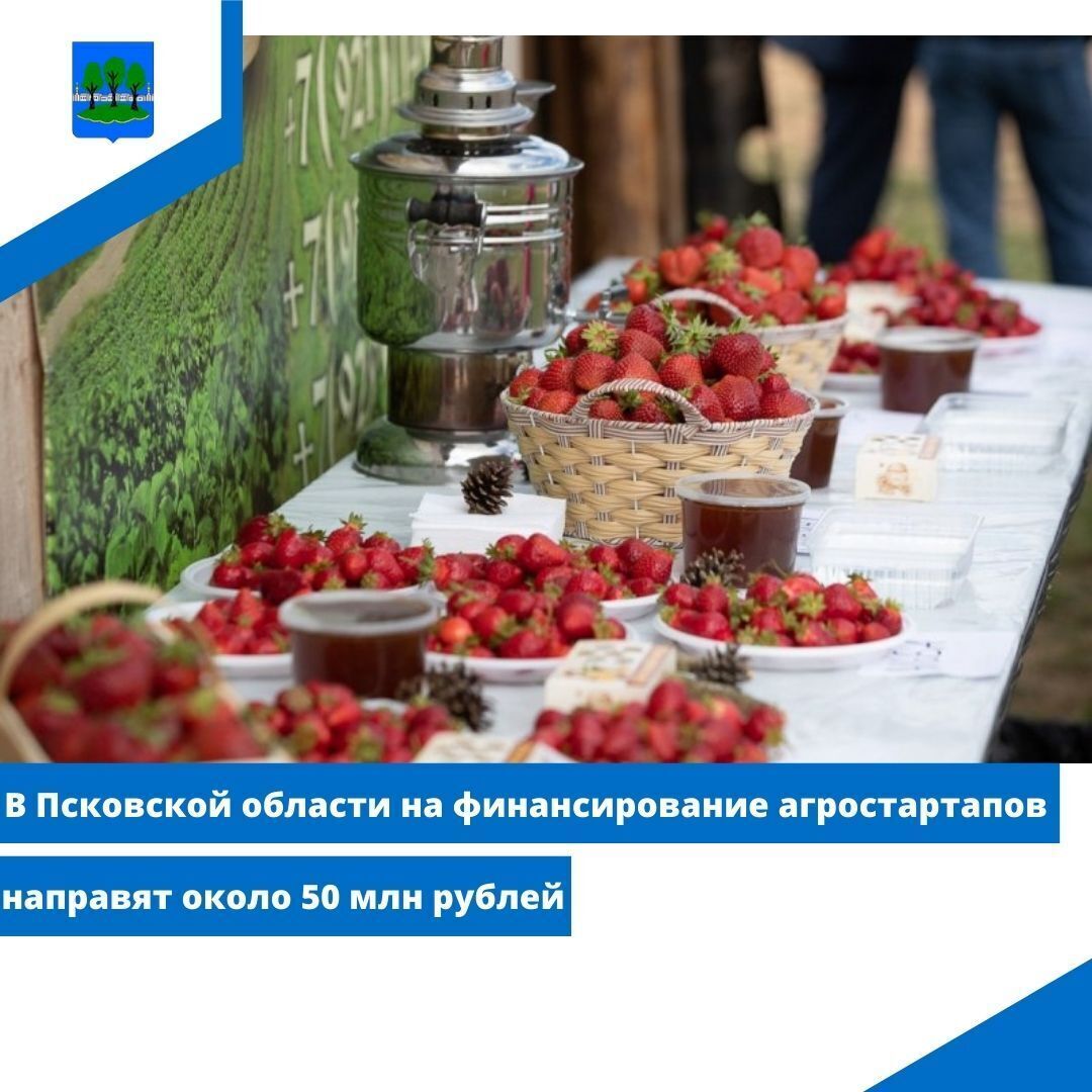 В Псковской области на финансирование агростартапов направят около 50 млн рублей.