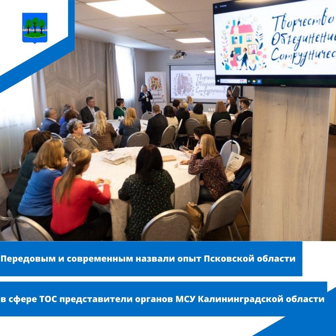 Передовым и современным назвали опыт Псковской области в сфере ТОС.