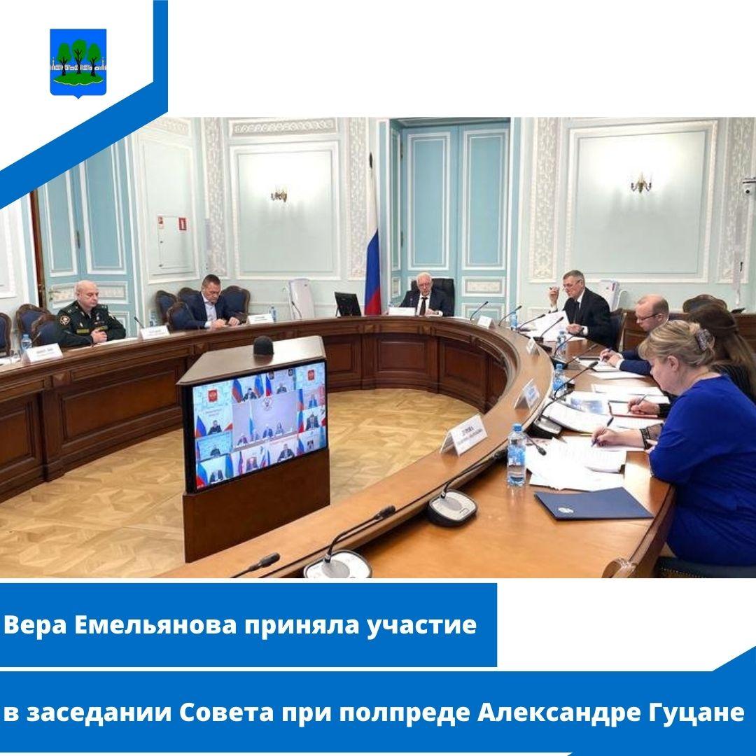 Вера Емельянова приняла участие в заседании Совета при полпреде Александре Гуцане.
