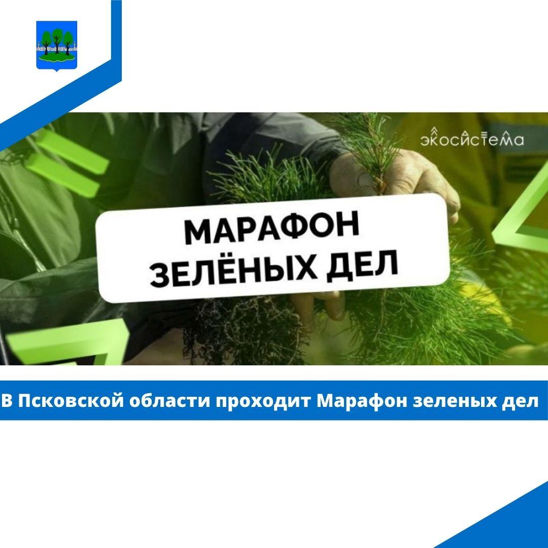 В Псковской области проходит Марафон зеленых дел.