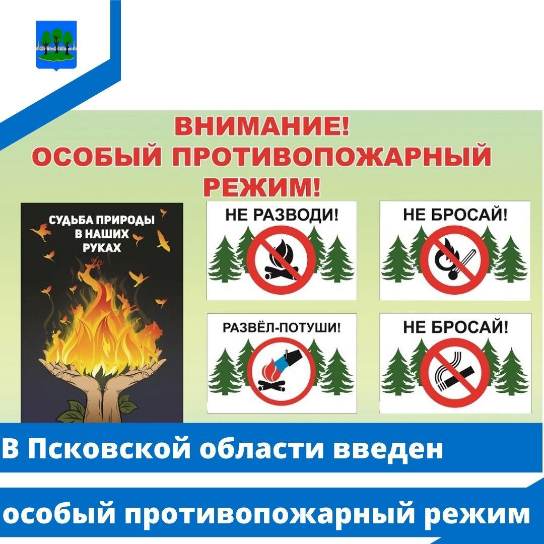 В Псковской области введен особый противопожарный режим.
