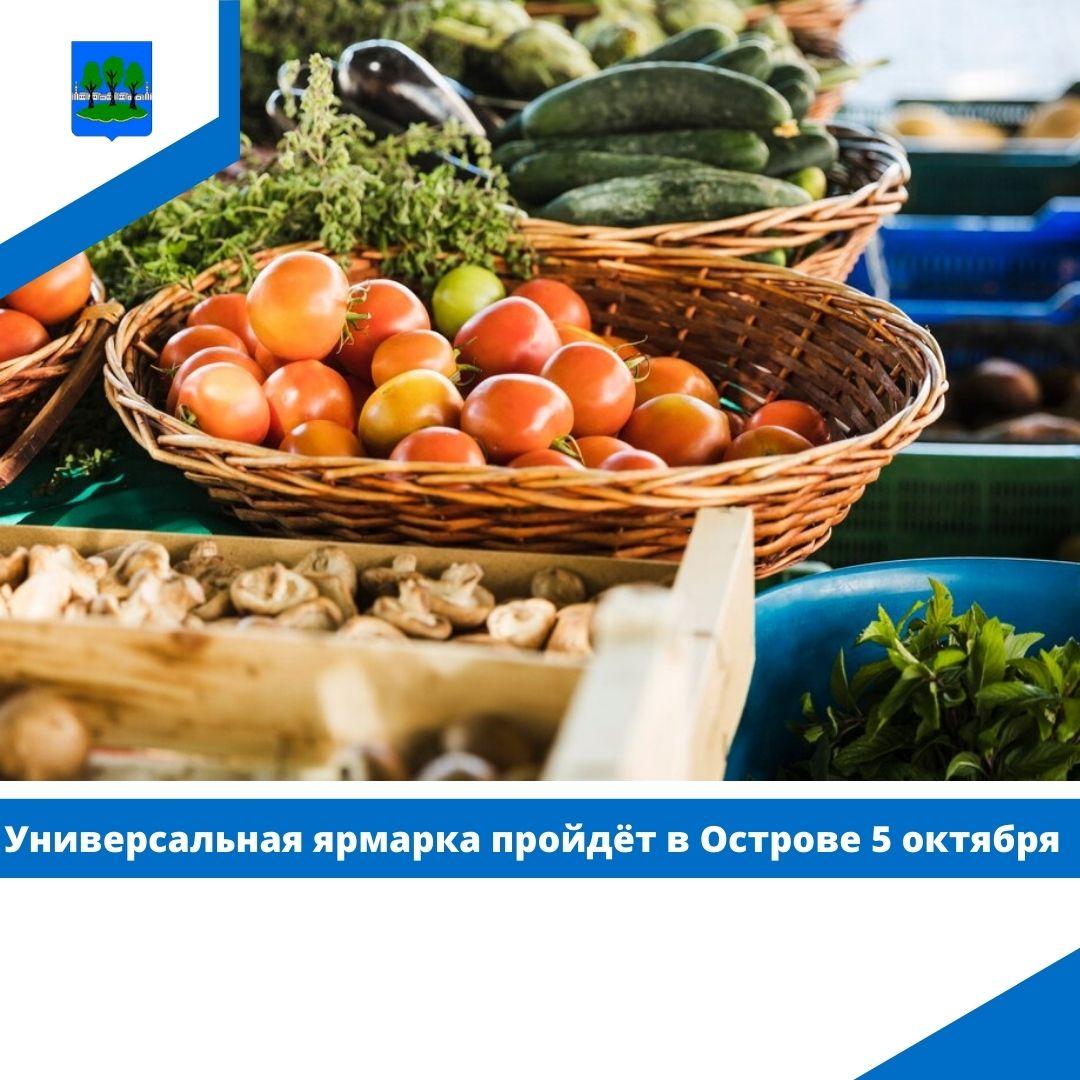 Универсальная ярмарка пройдёт в Острове 5 октября.