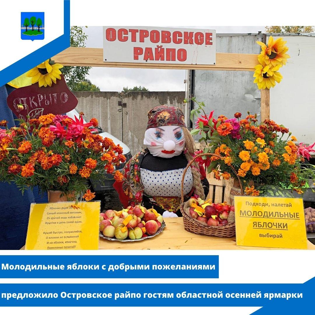 яблоки с добрыми пожеланиями предложило Островское райпо гостям областной осенней ярмарки.