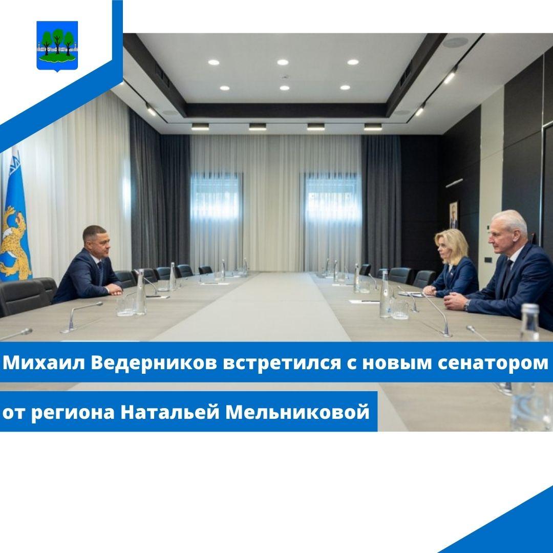 Михаил Ведерников встретился с новым сенатором от региона Натальей Мельниковой.