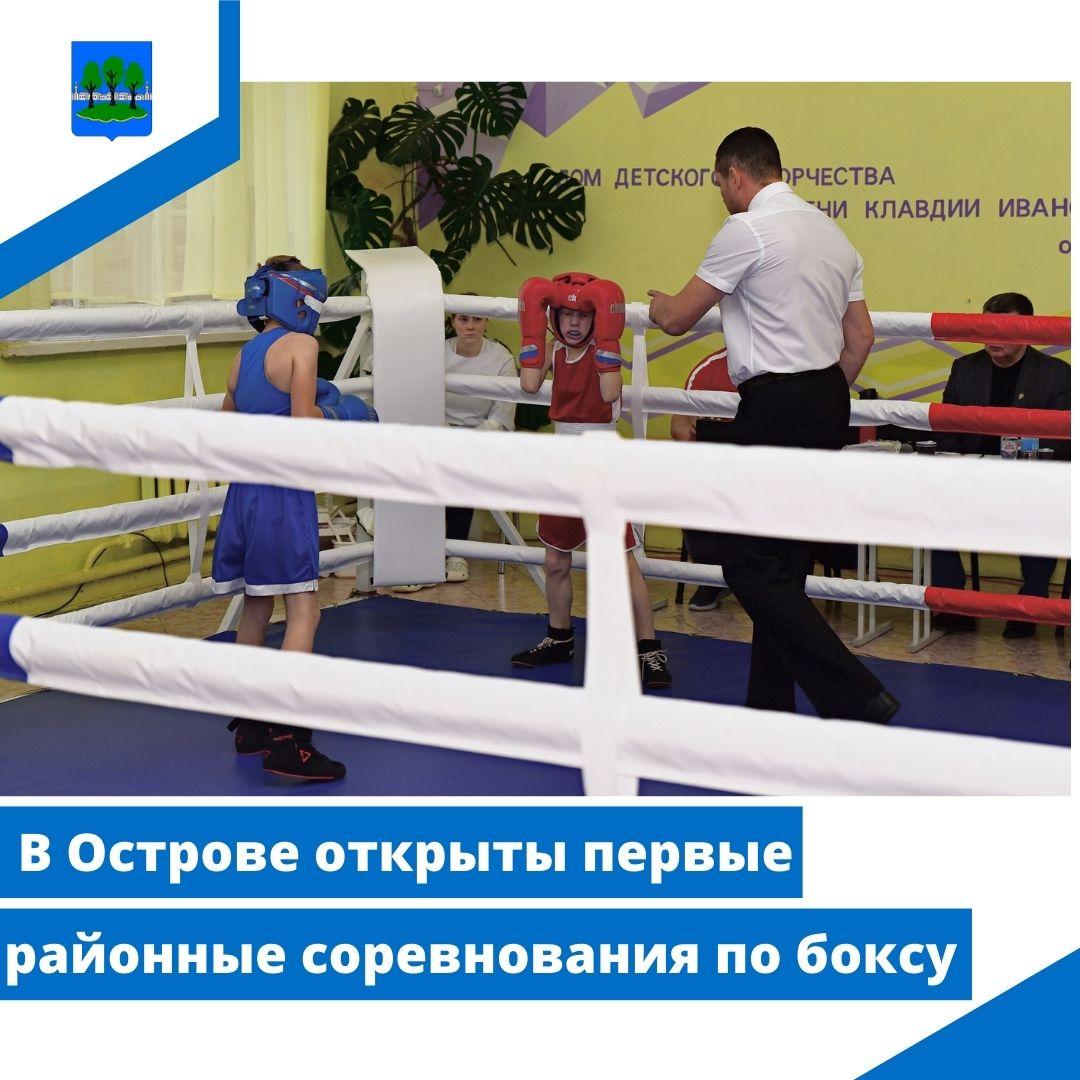 В Острове открыты первые районные соревнования по боксу.