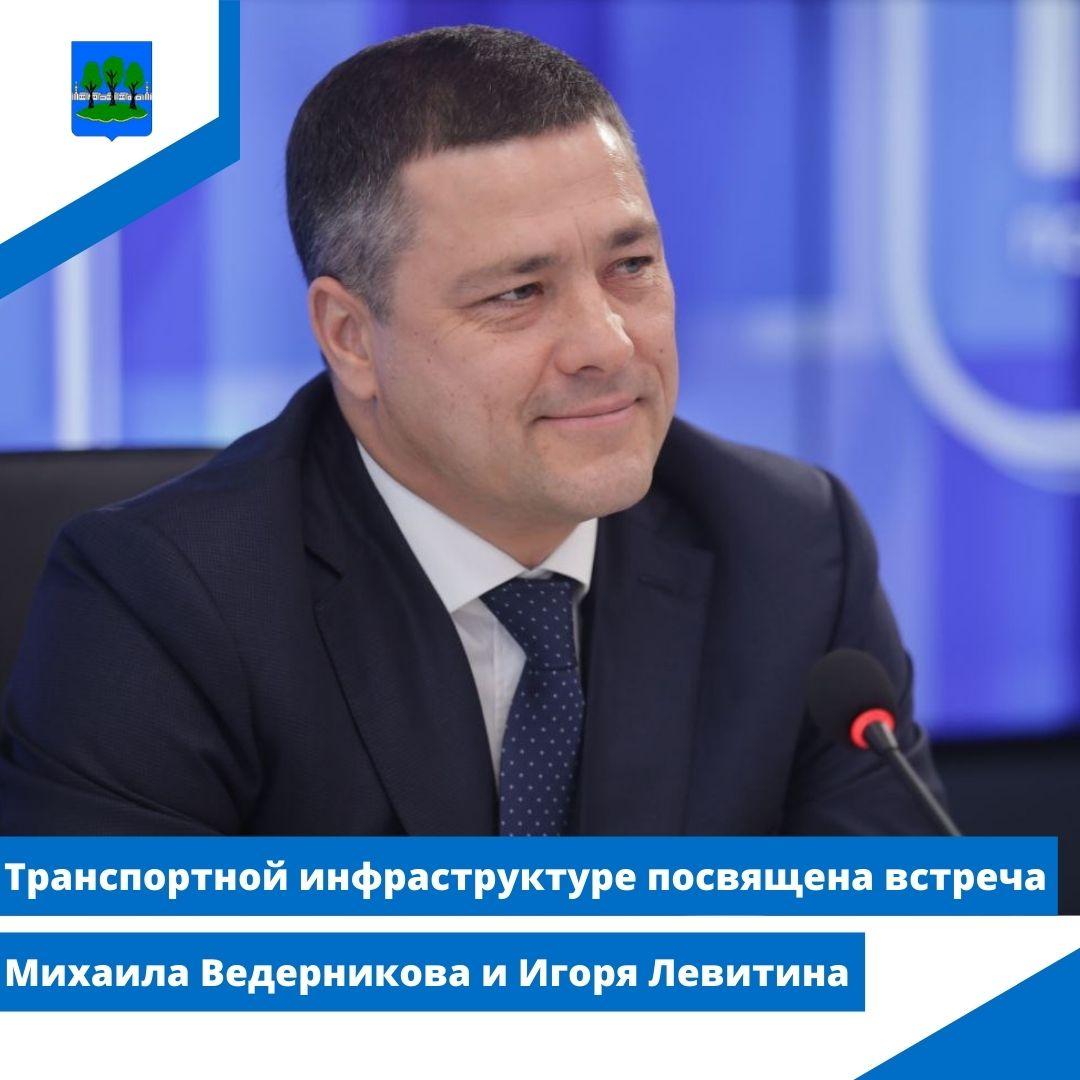 Транспортной инфраструктуре посвящена встреча Михаила Ведерникова и Игоря Левитина.