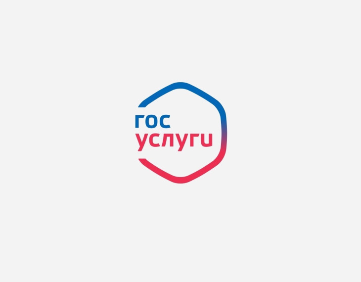 Узнать о долгах можно в дистанционном режиме. Узнать о долгах можно в дистанционном режиме.