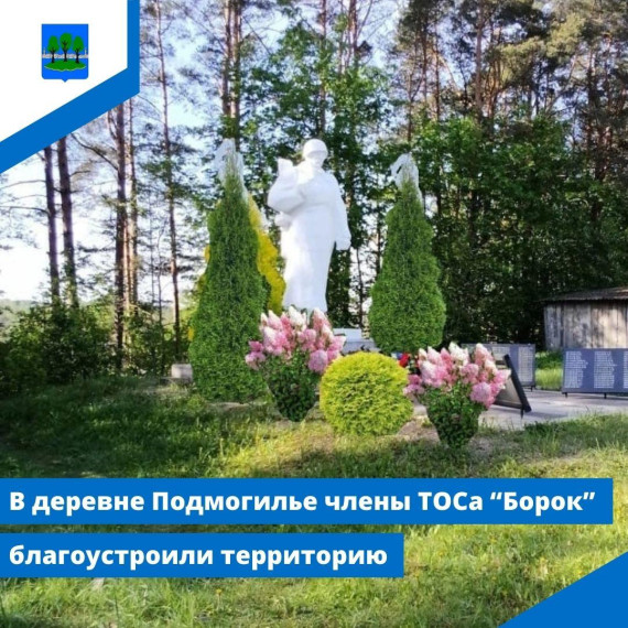 В деревне Подмогилье члены ТОСа "Борок" благоустроили территорию. В деревне Подмогилье члены ТОСа "Борок" благоустроили территорию.